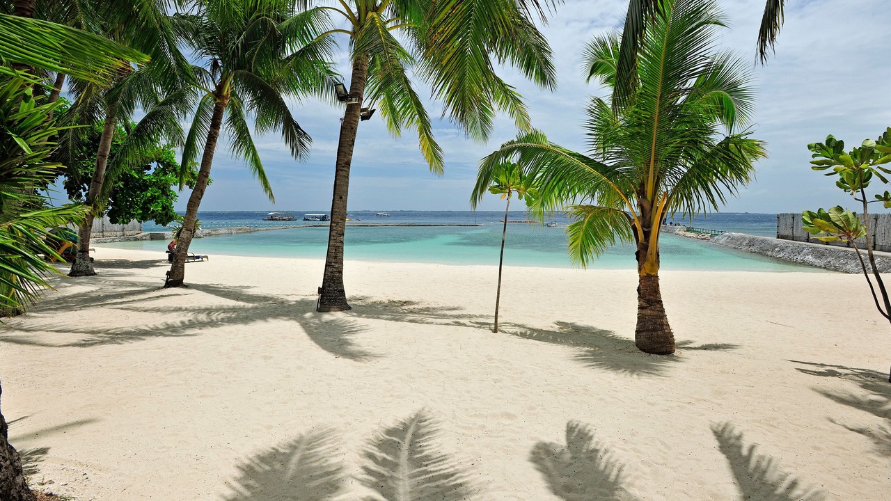 Photo of Others in Maribago