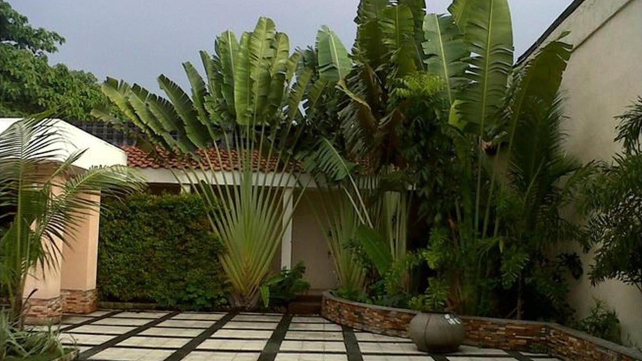 Photo of Outdoor in Bakilid