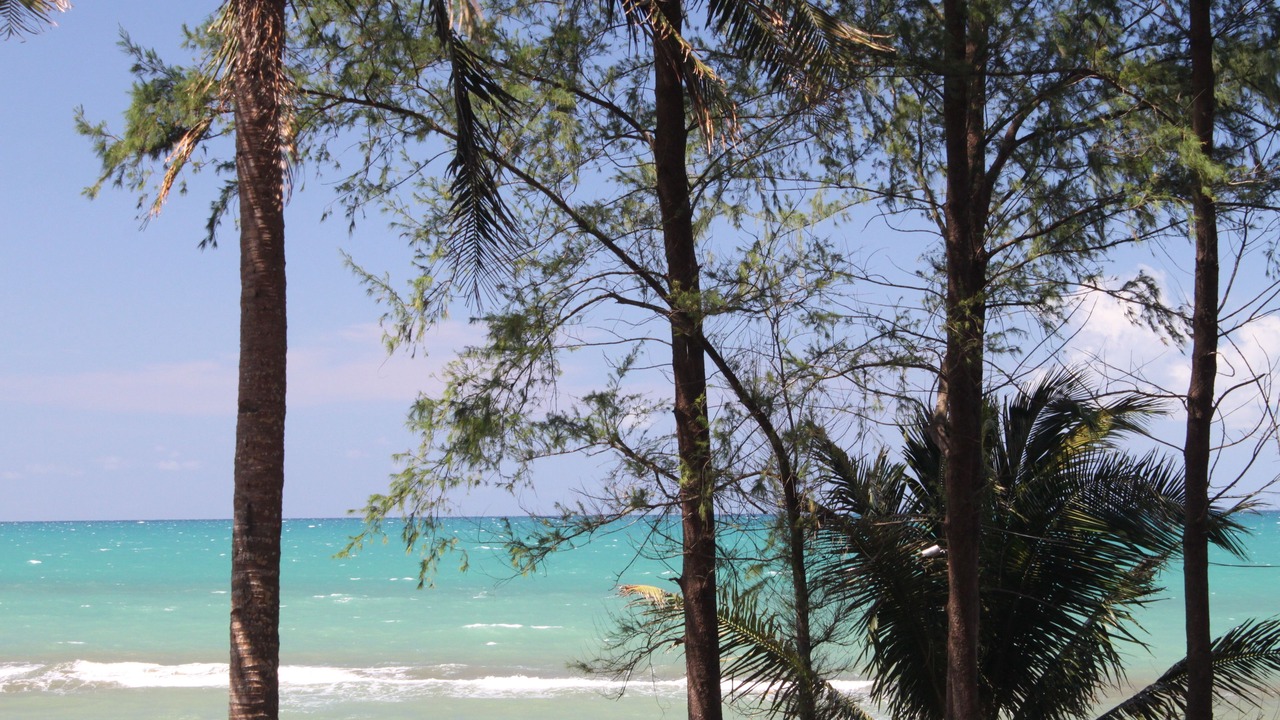 Photo of Outdoor in Infanta