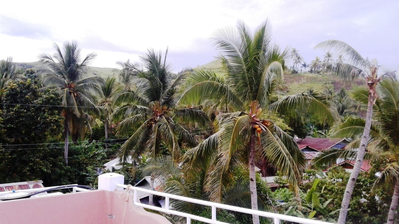 Photo of Outdoor in Daram