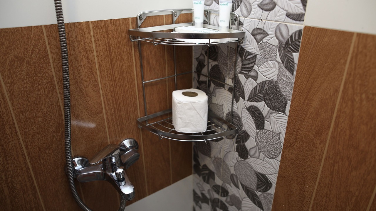 Photo of Bathroom in Orani