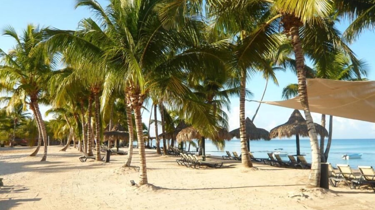 Photo of Others in Dominicus