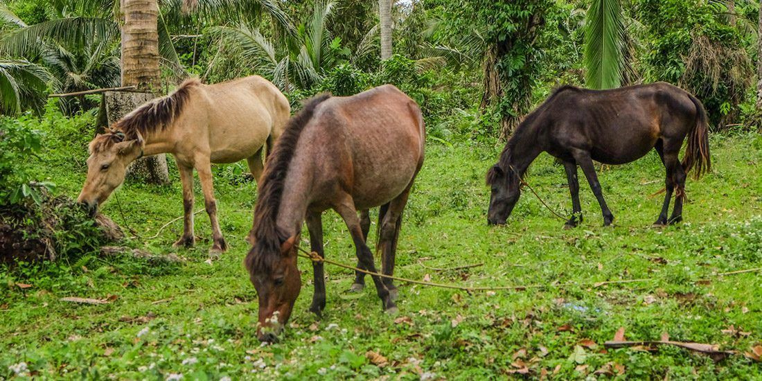 Photo of Others in Casiguran