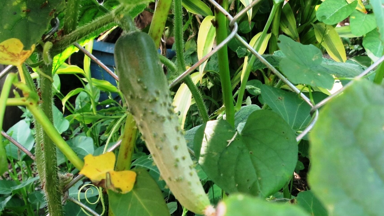 Photo of Outdoor in Nabunturan