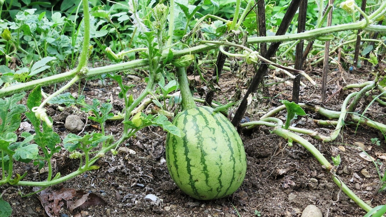 Photo of Outdoor in Nabunturan