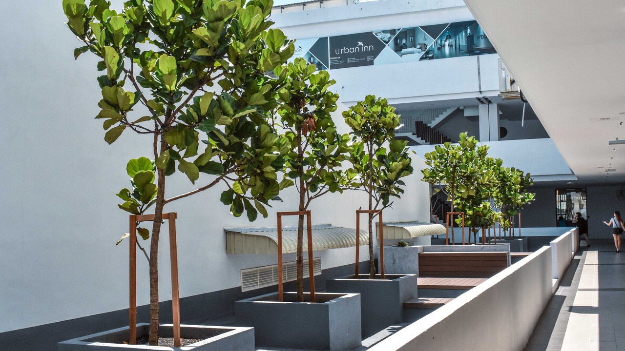 Photo of Outdoor in Alor Setar