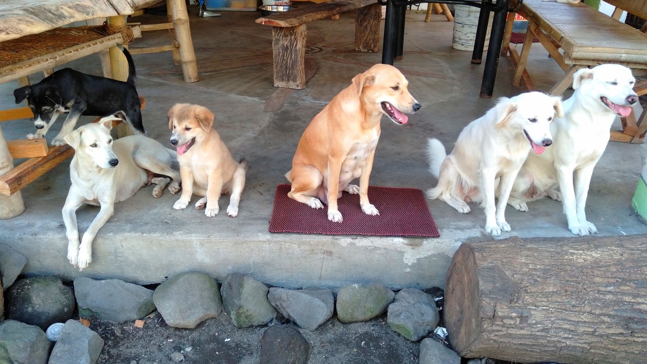 Photo of Others in Legazpi
