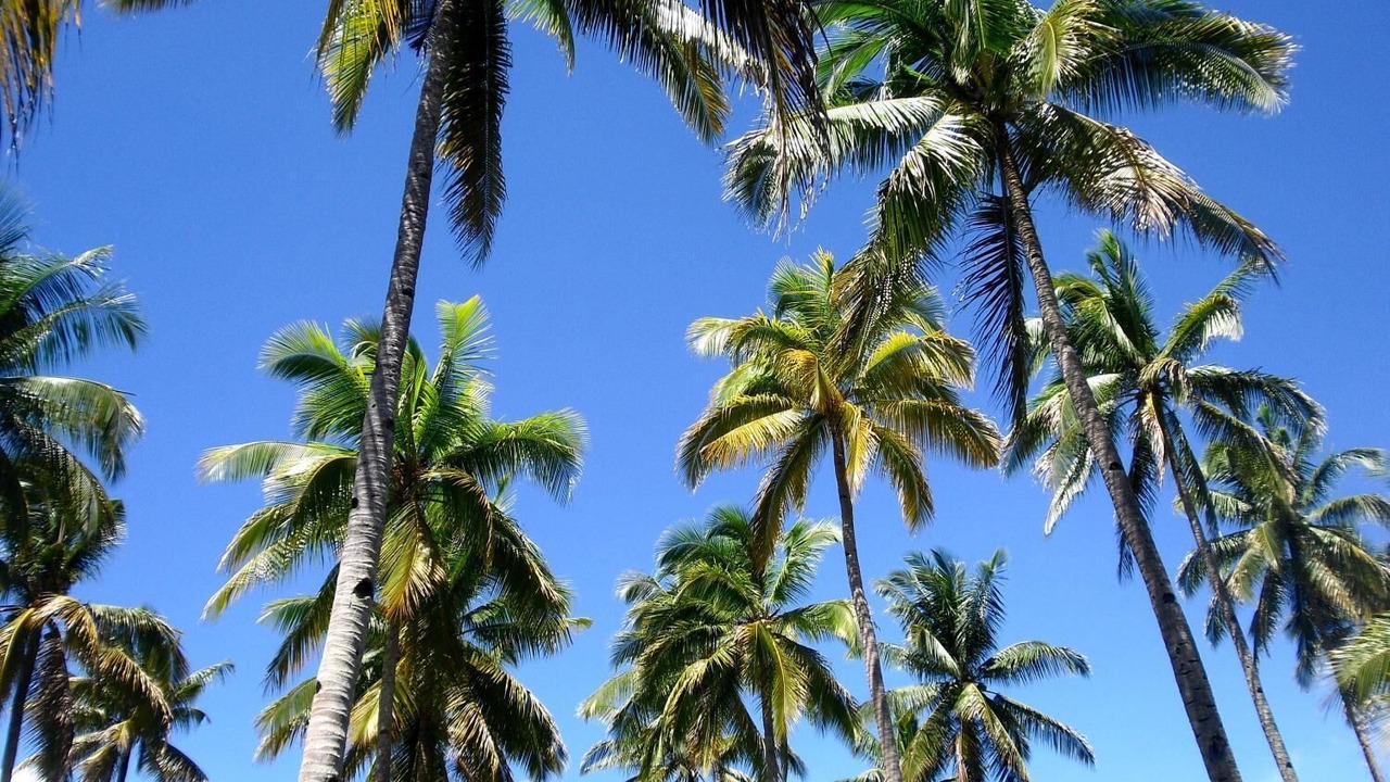 Photo of Outdoor in Guindulman