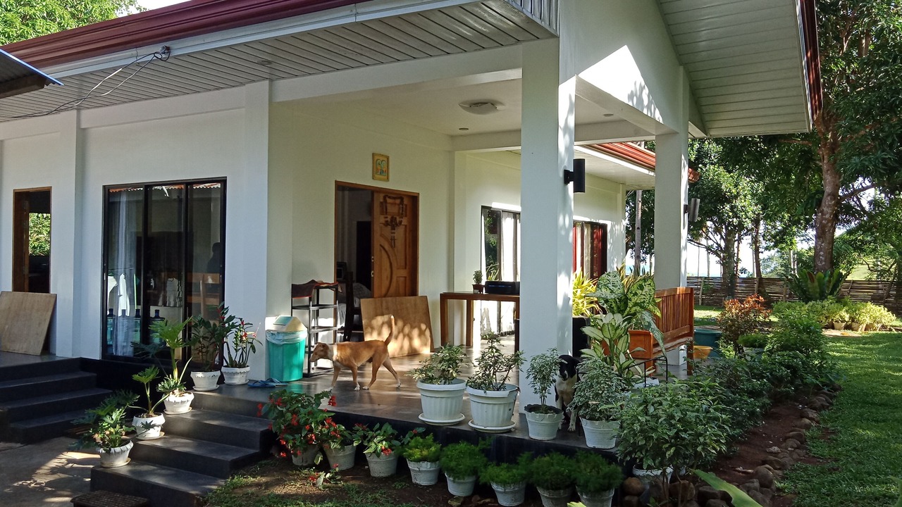 Photo of Outdoor in Candijay
