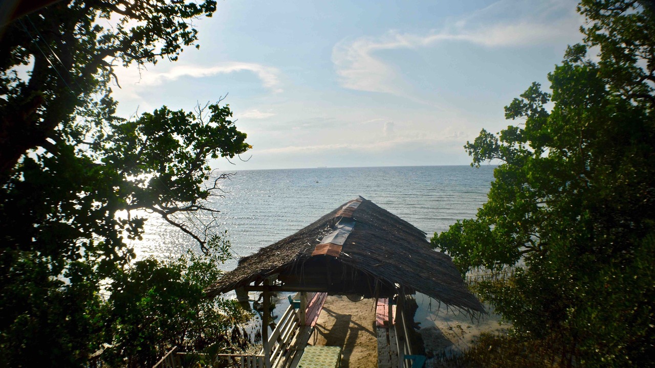 Photo of Others in Alegria