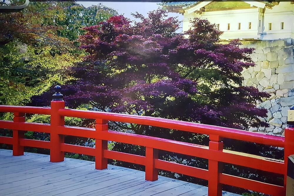 Photo of Patio Balcony in Pangasinan Province