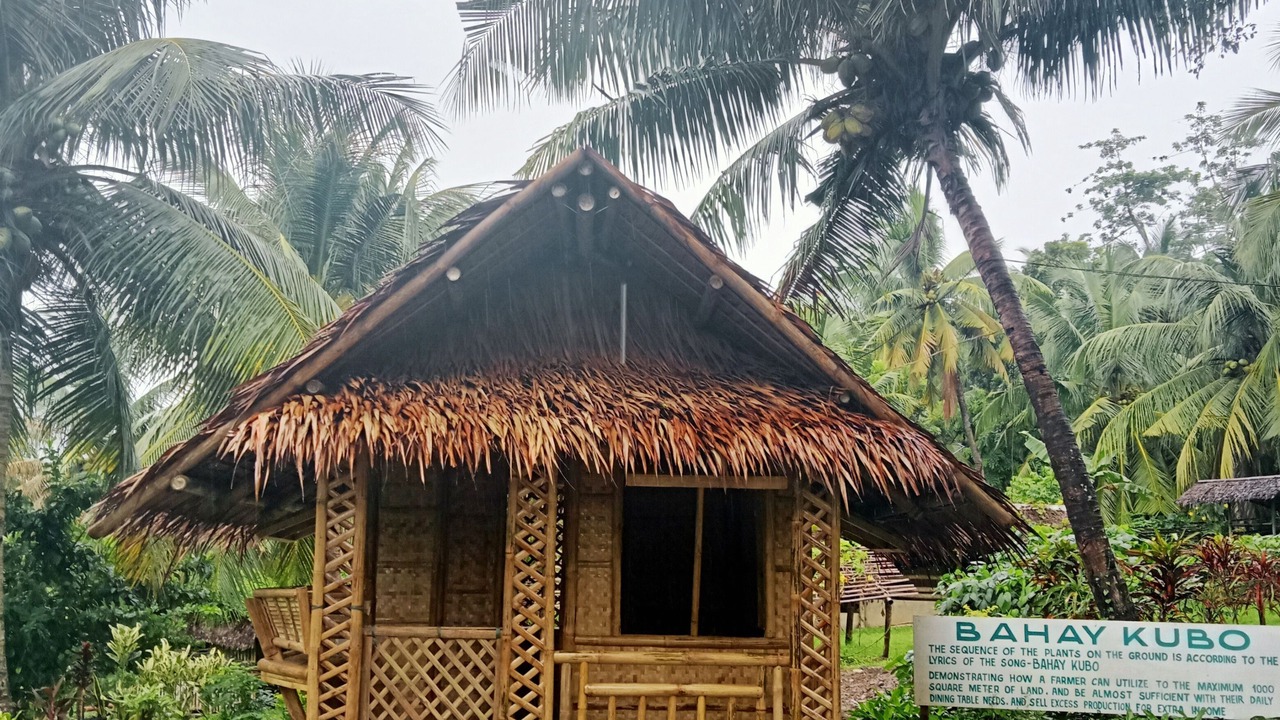 Photo of Outdoor in San Joaquin