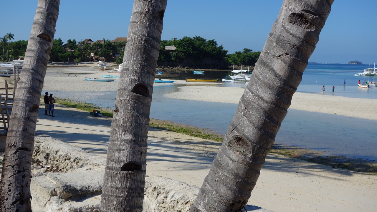 Photo of Others in Daanbantayan