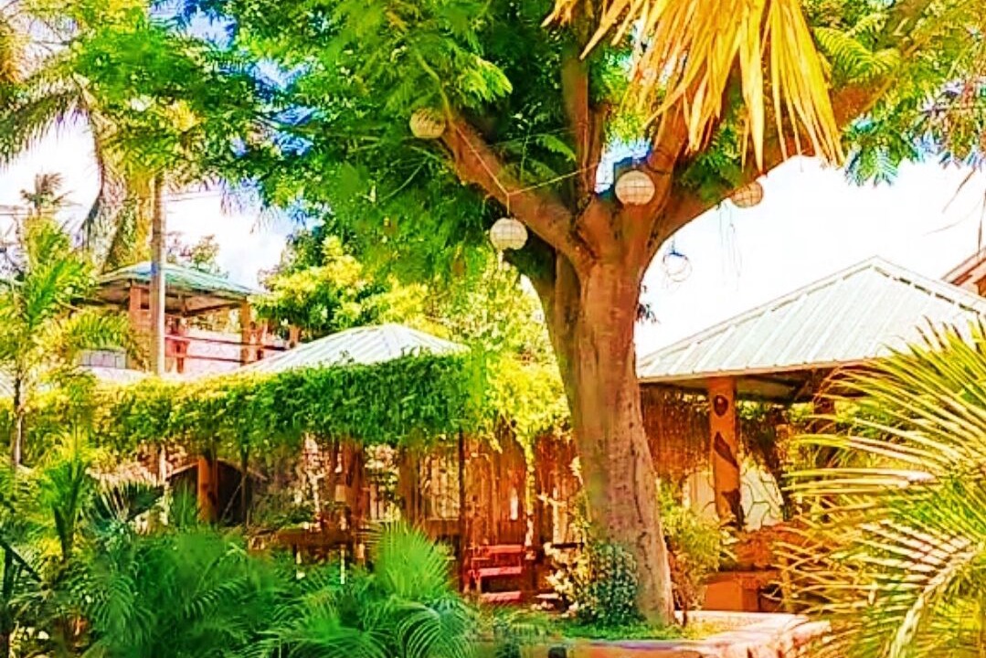 Photo of Outdoor in Talisay
