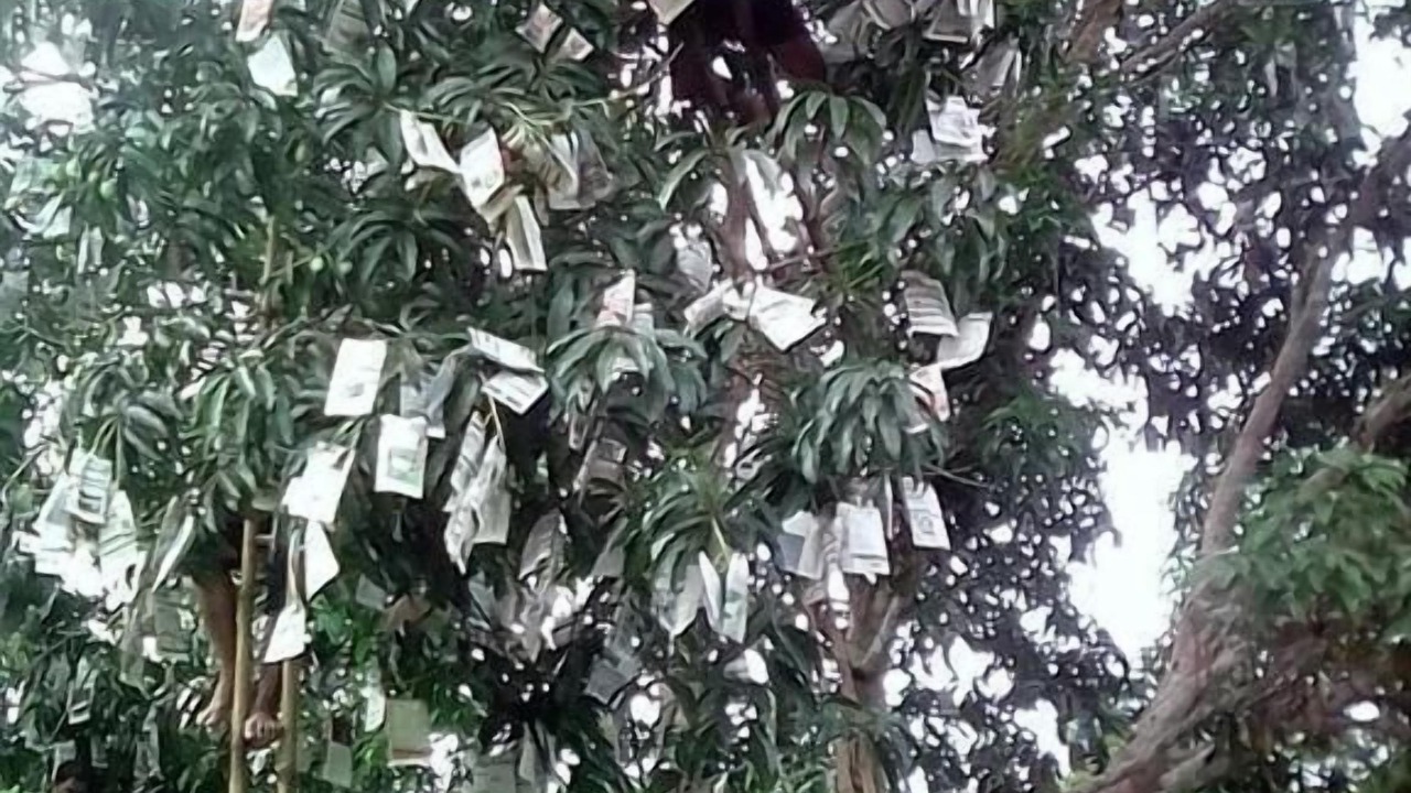 Photo of Outdoor in Guindulman