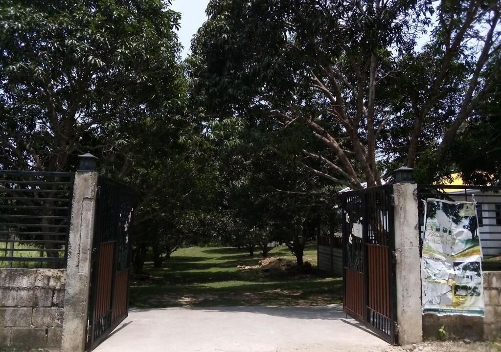 Photo of Outdoor in Guindulman