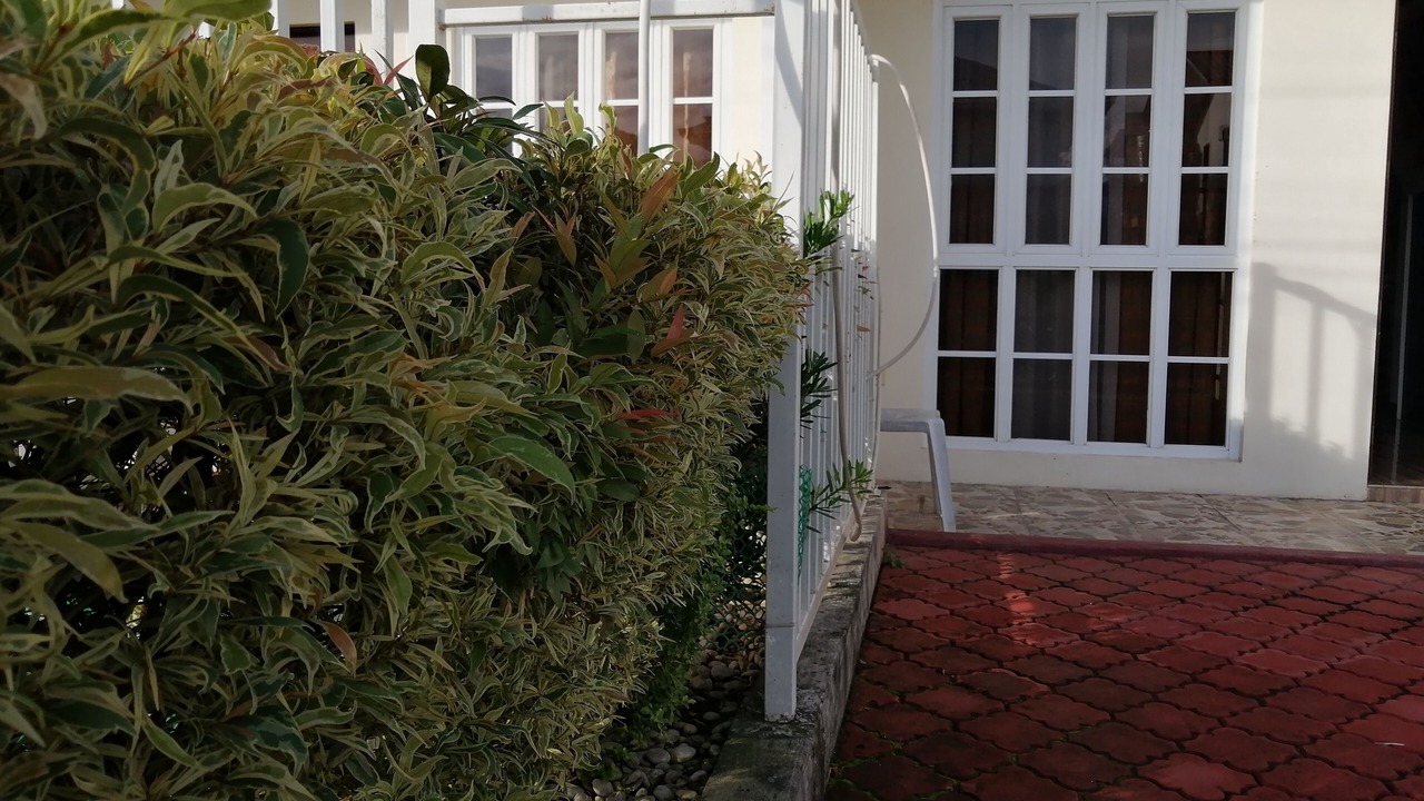 Photo of Outdoor in Batangas City