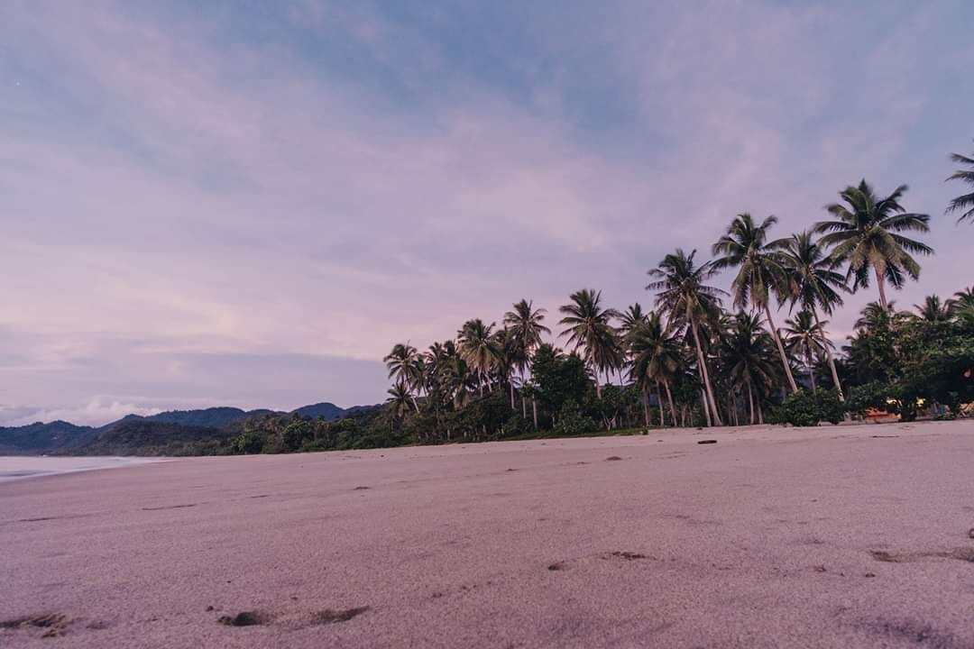 Photo of Others in Dinalungan