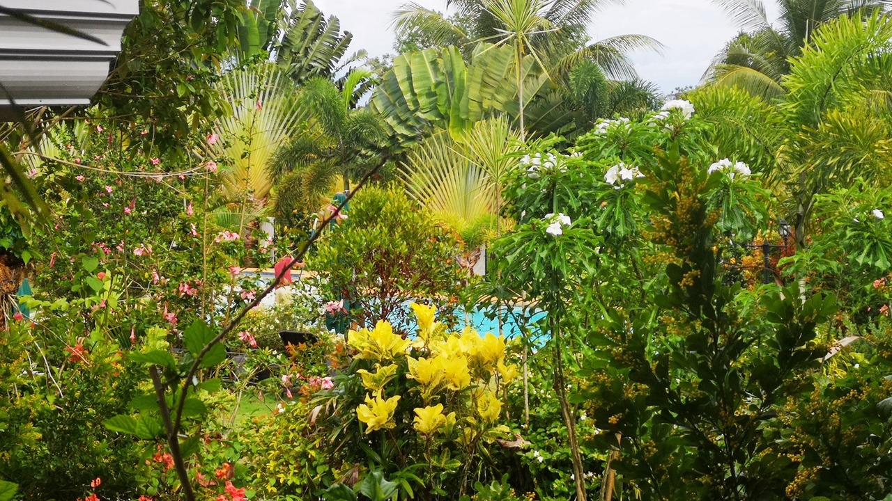 Photo of Outdoor in Siquijor