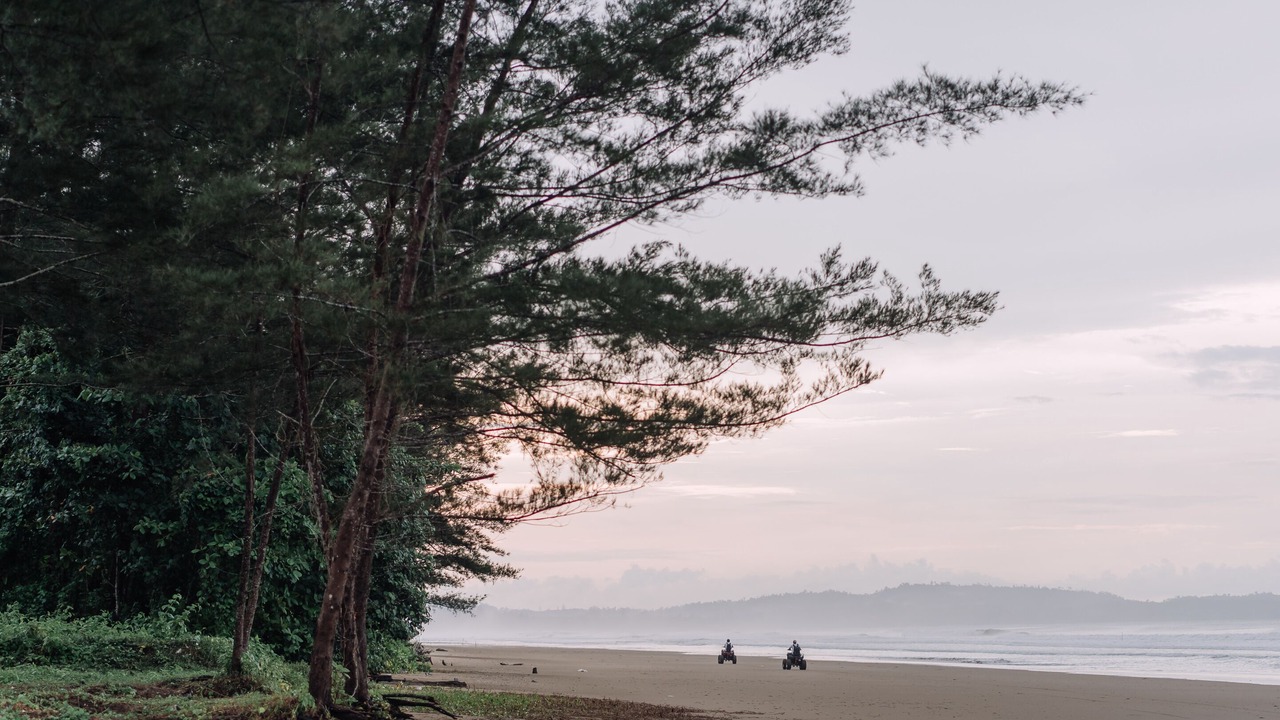 Photo of Others in Sematan