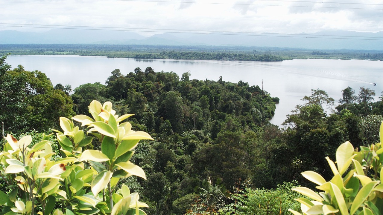 Photo of Outdoor in Semanggol