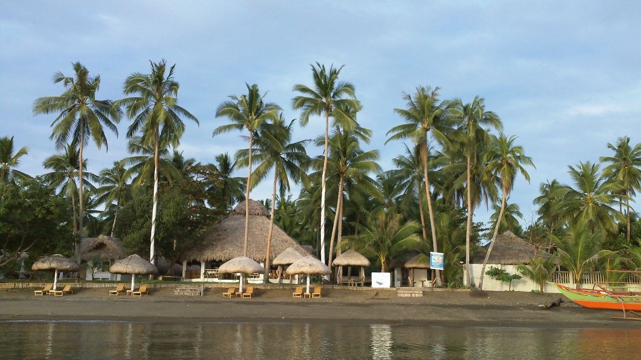 Photo of Others in Donsol