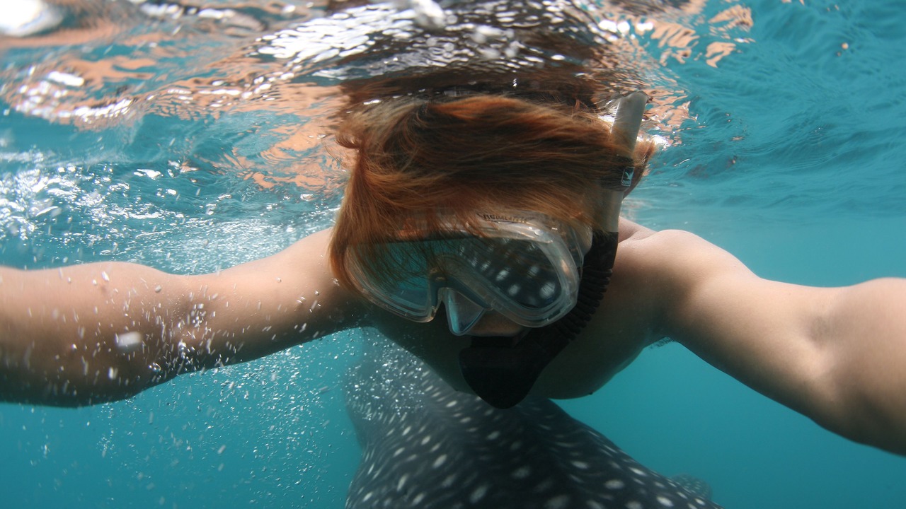Photo of Others in Donsol