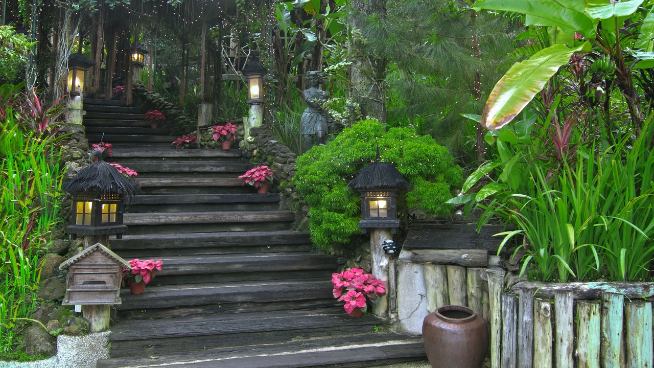 Photo of Outdoor in George Town