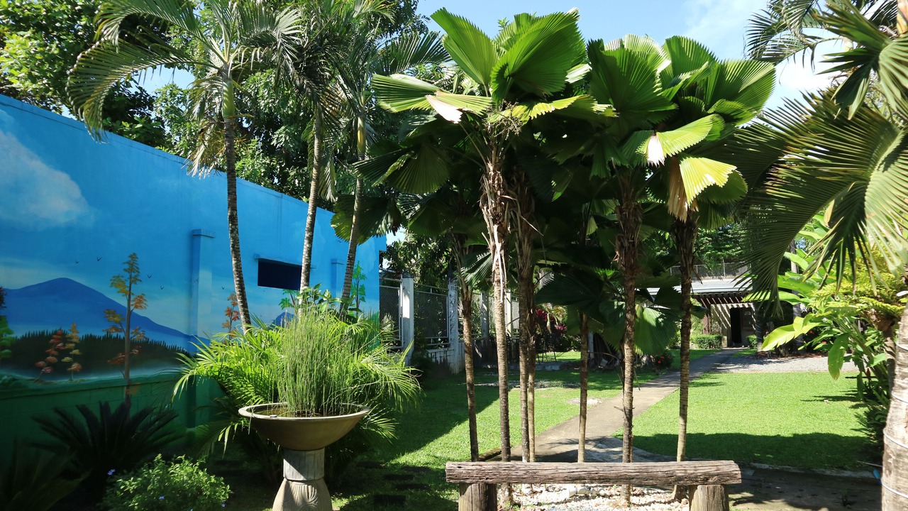 Photo of Outdoor in Calamba