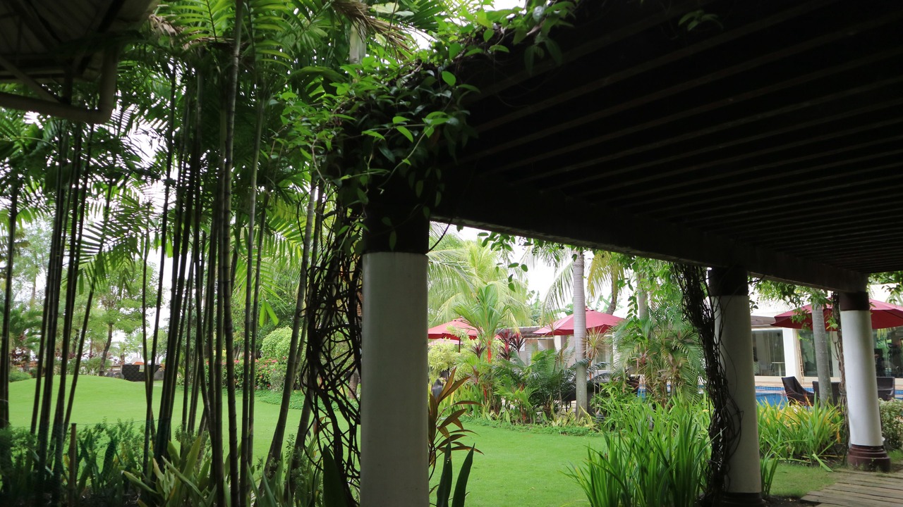 Photo of Outdoor in Rosario