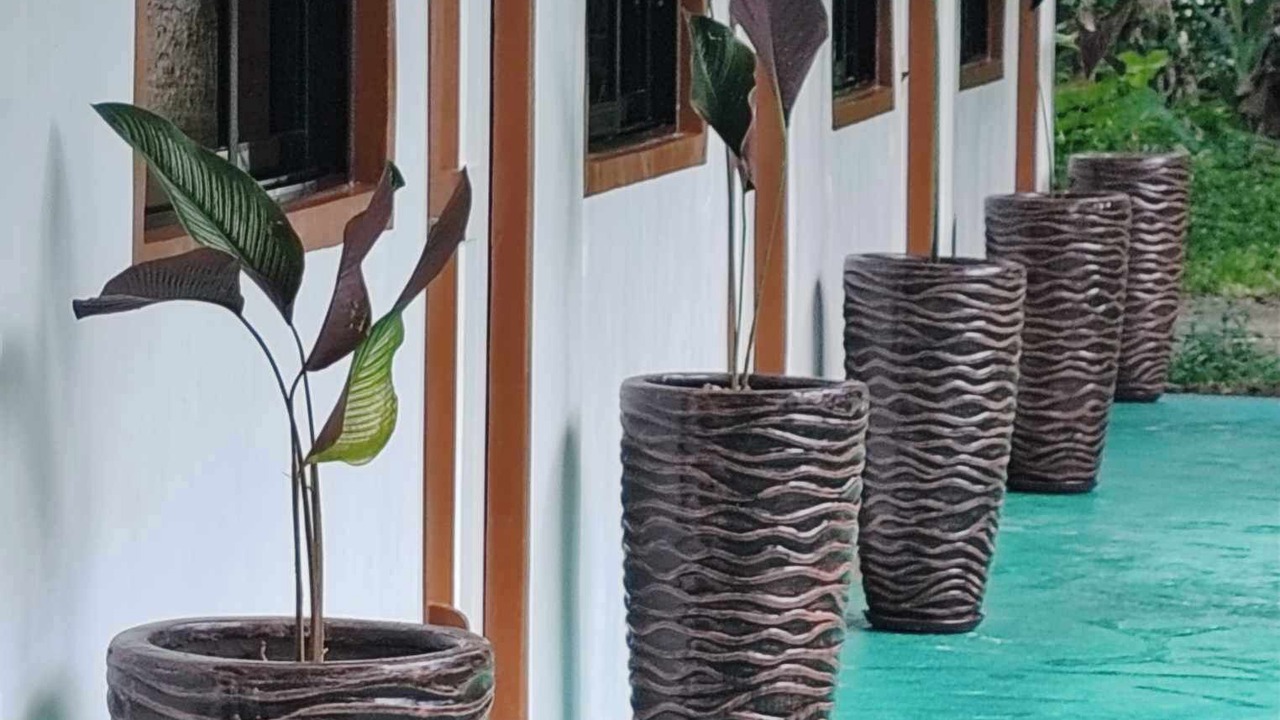 Photo of Bedroom in Loboc