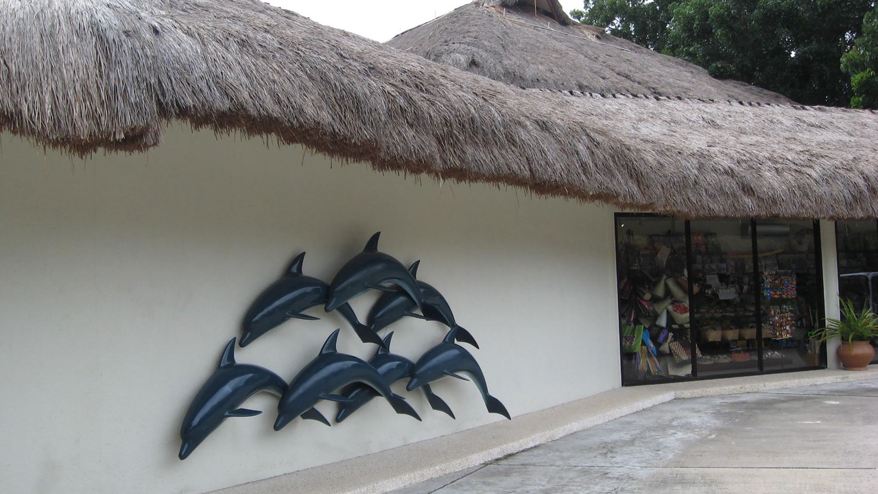 Photo of Others in Maribago