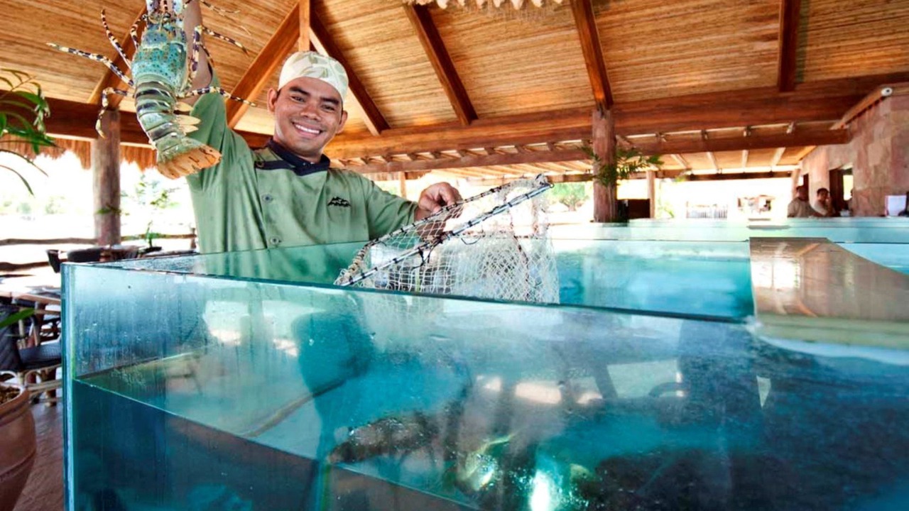 Photo of Others in Maribago