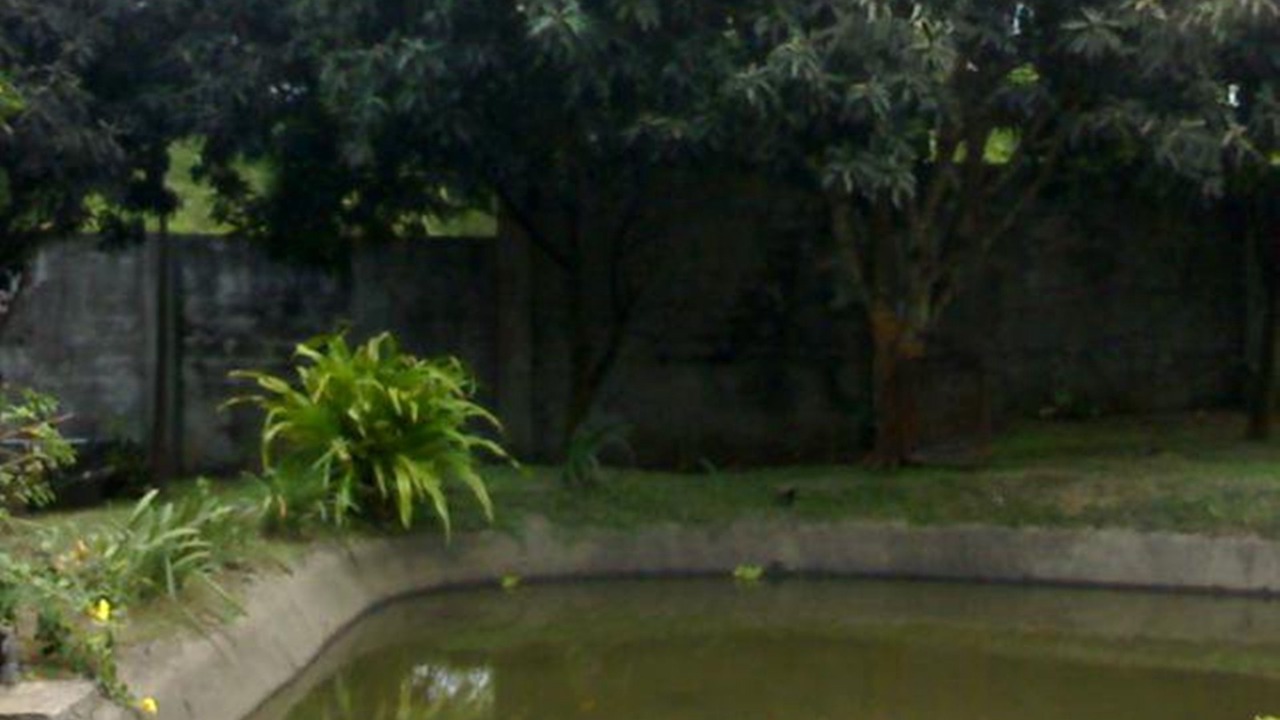 Photo of Outdoor in Caridad