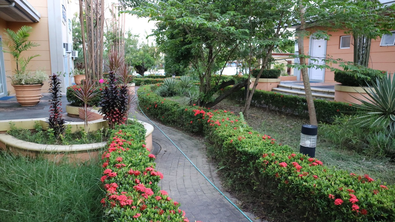 Photo of Outdoor in Cabanatuan