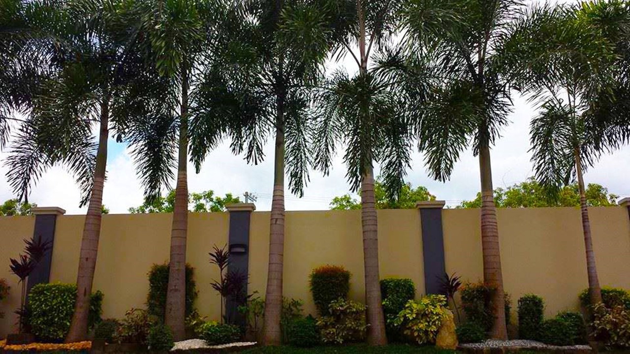 Photo of Outdoor in Calumpit