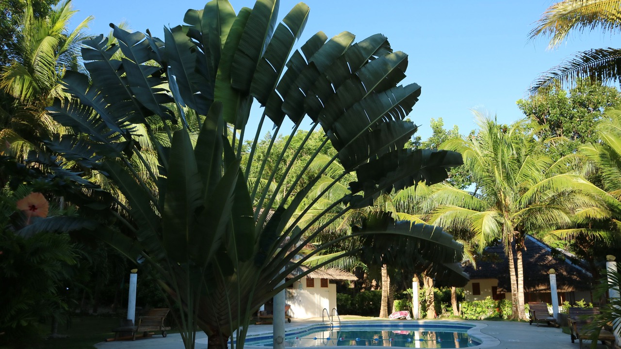 Photo of Outdoor in Gabayan
