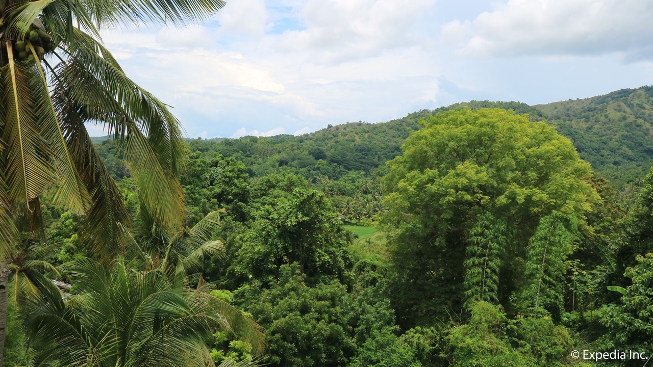 Photo of Outdoor in Larena