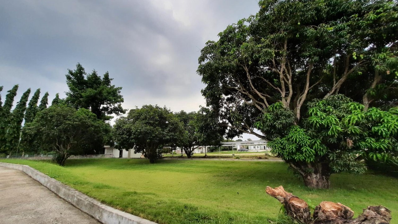 Photo of Outdoor in Capas