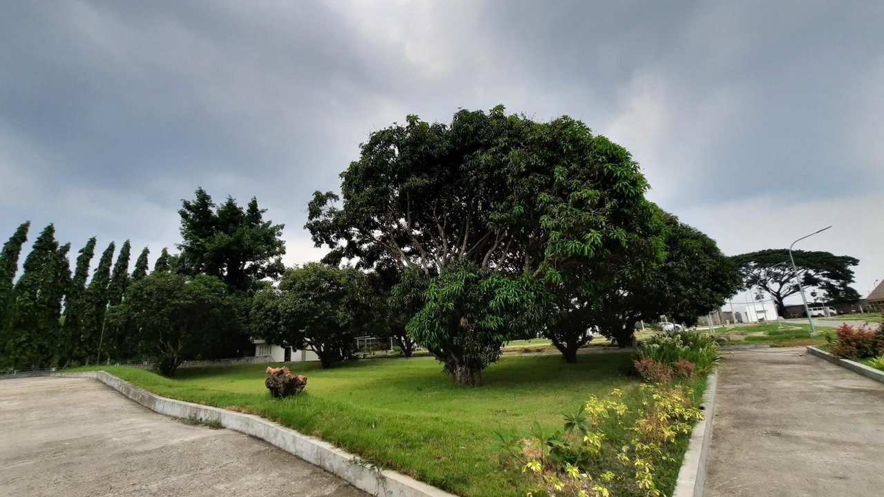 Photo of Outdoor in Capas