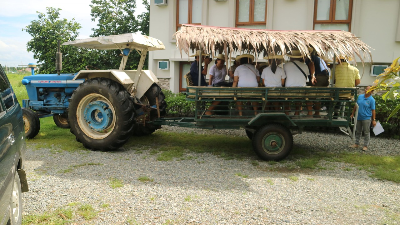 Photo of Others in Capas