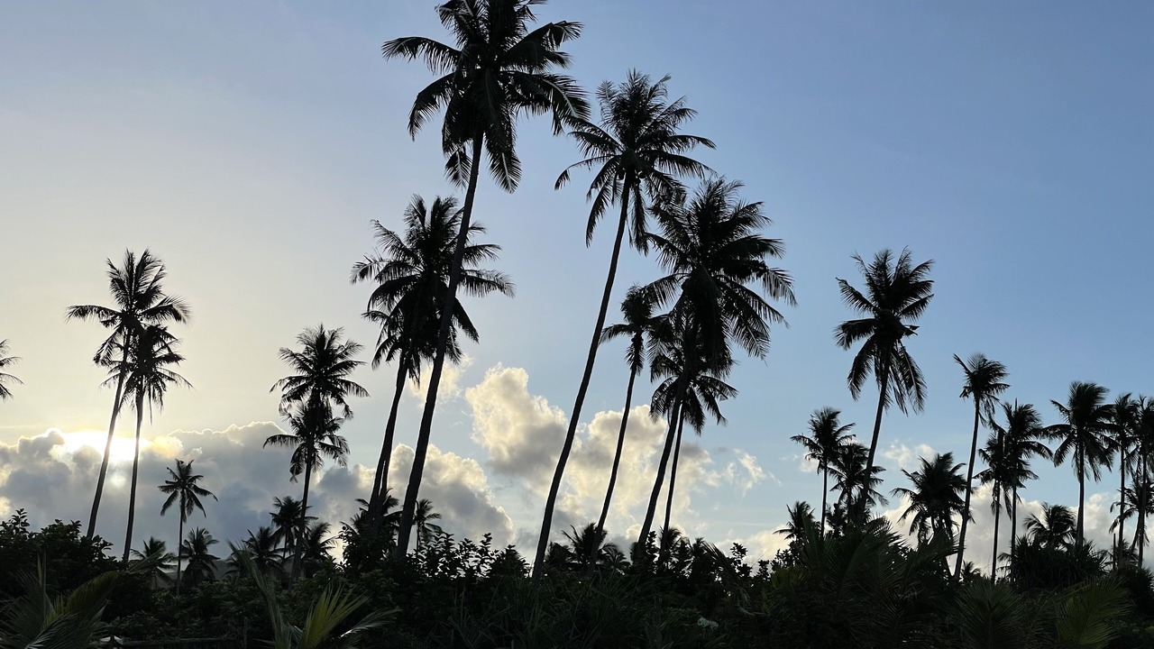 Photo of Others in San Andres