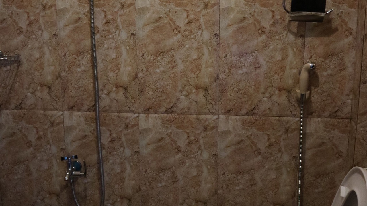 Photo of Bathroom in Baler