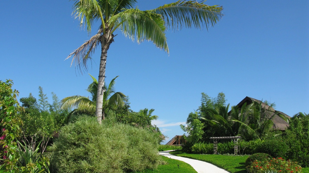 Photo of Outdoor in Tawala