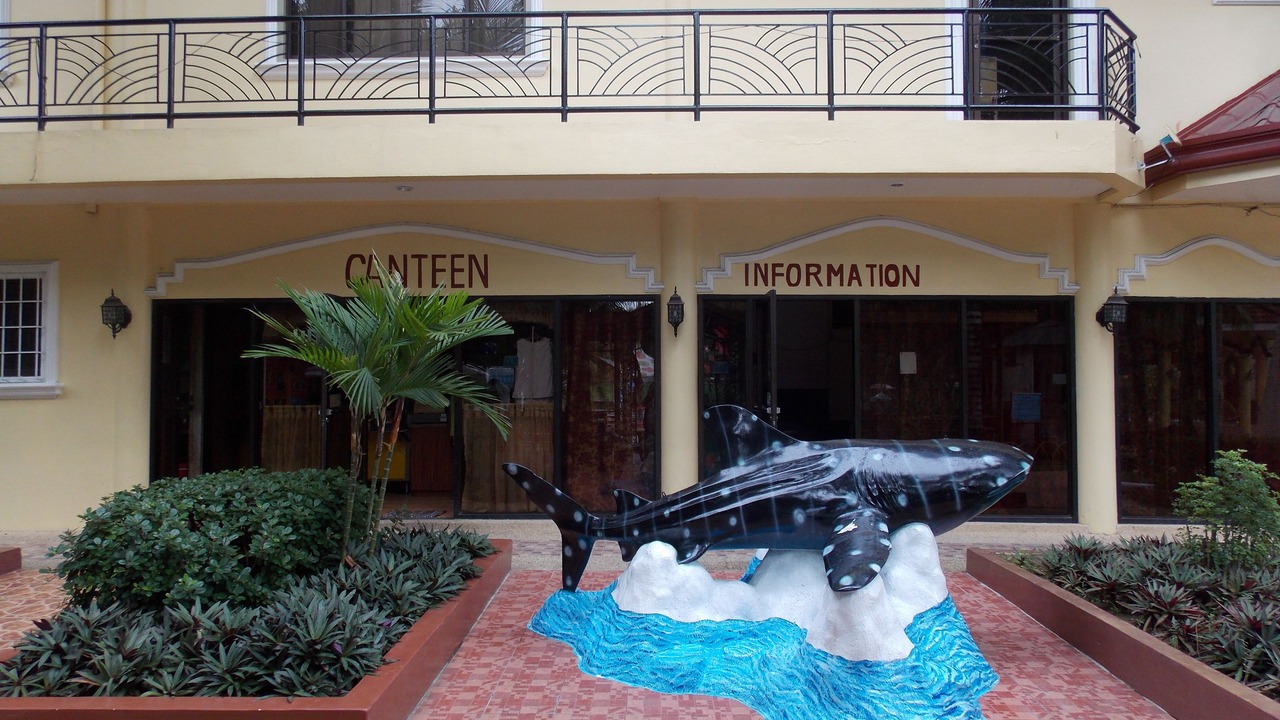 Photo of Outdoor in Talisay