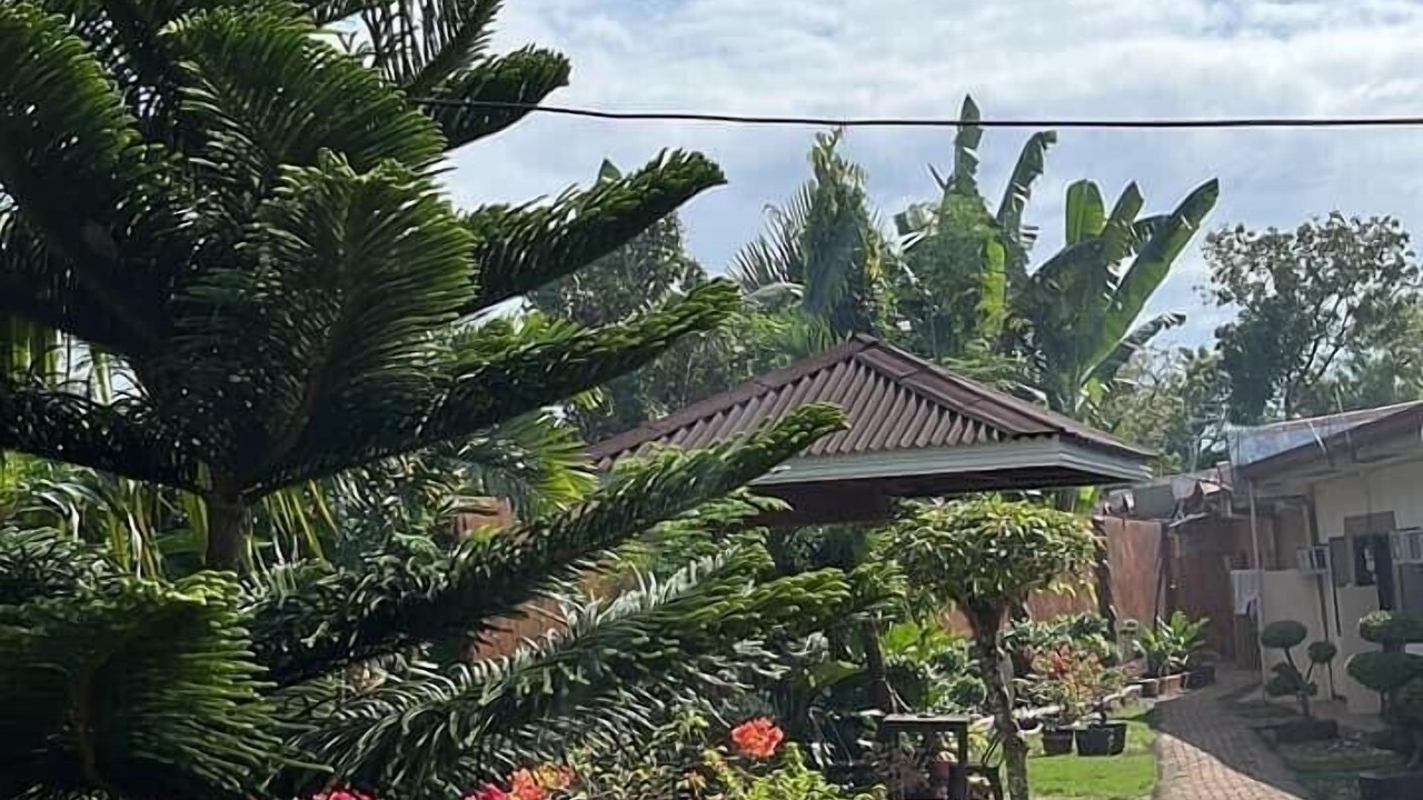 Photo of Outdoor in Danao
