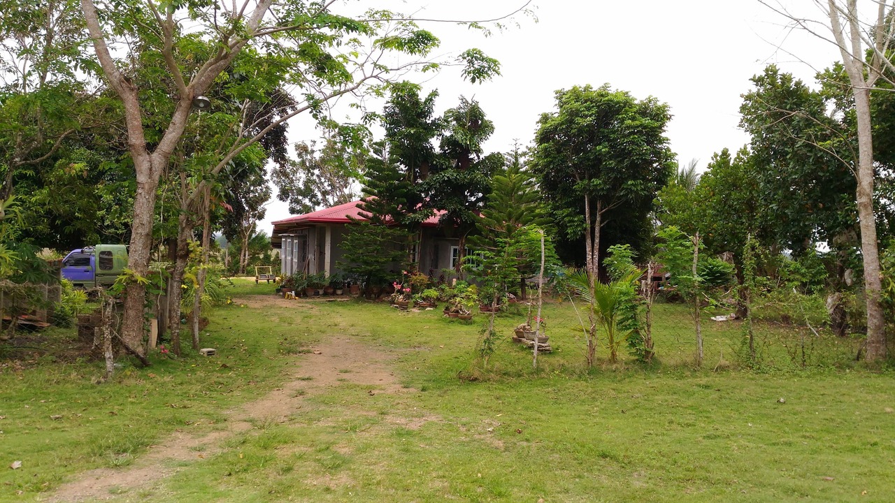 Photo of Outdoor in Milagros