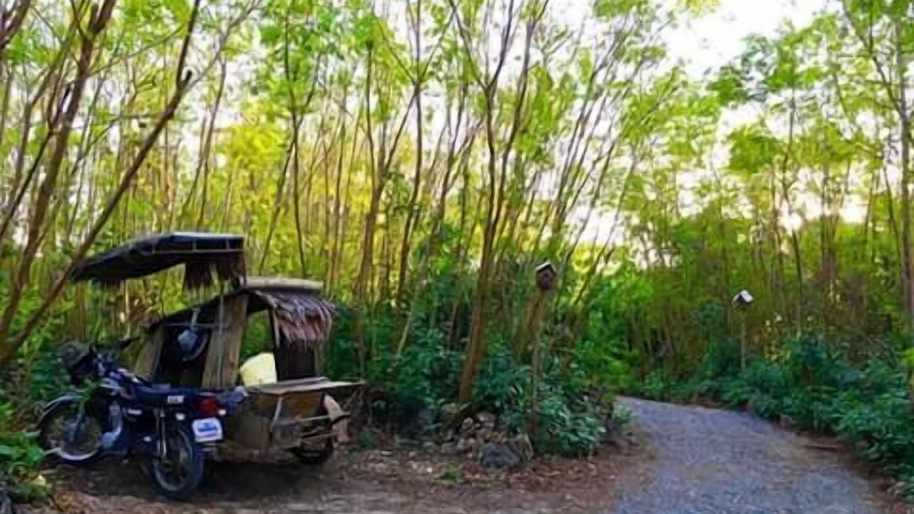 Photo of Outdoor in Bolinao