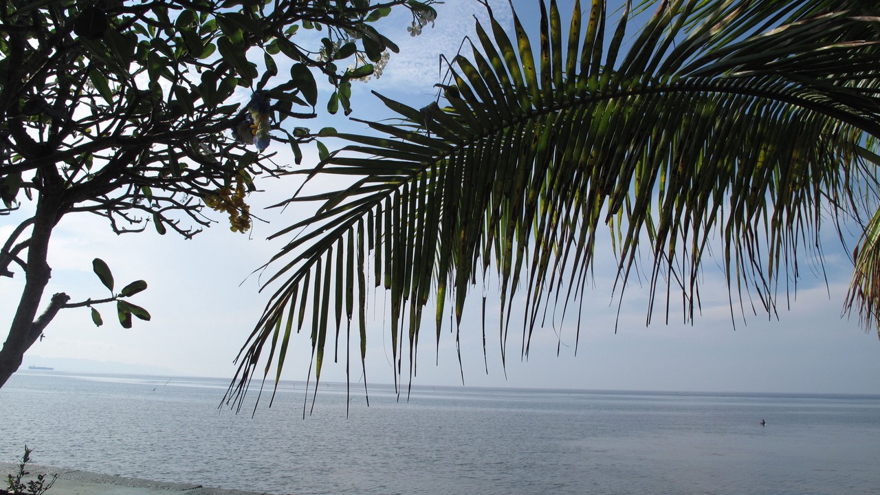 Photo of Others in Argao