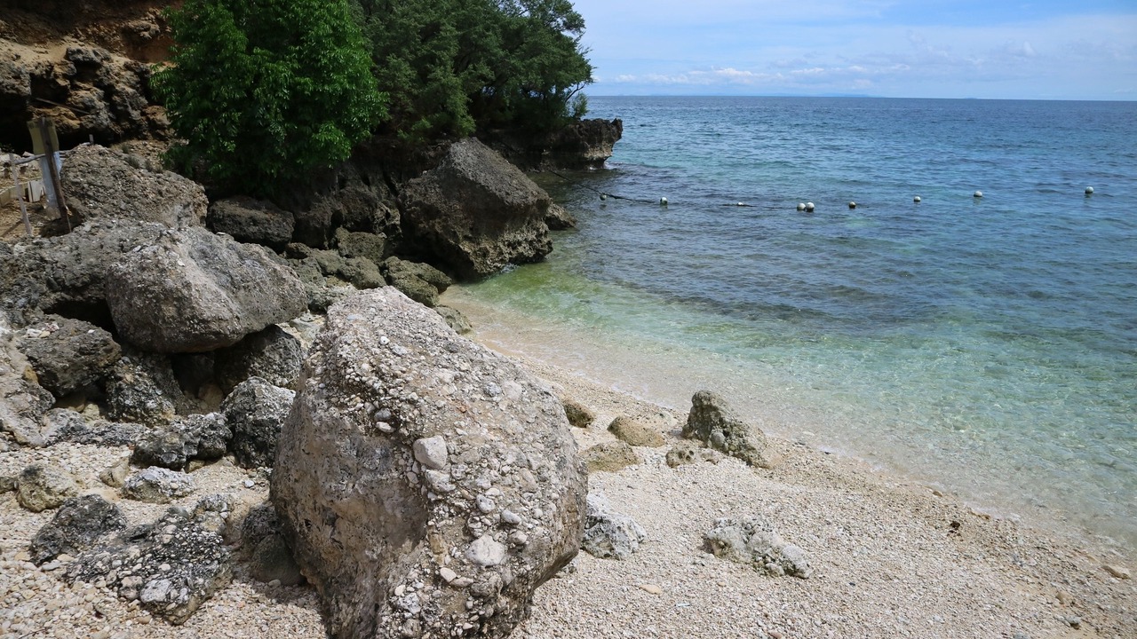 Photo of Others in Oslob